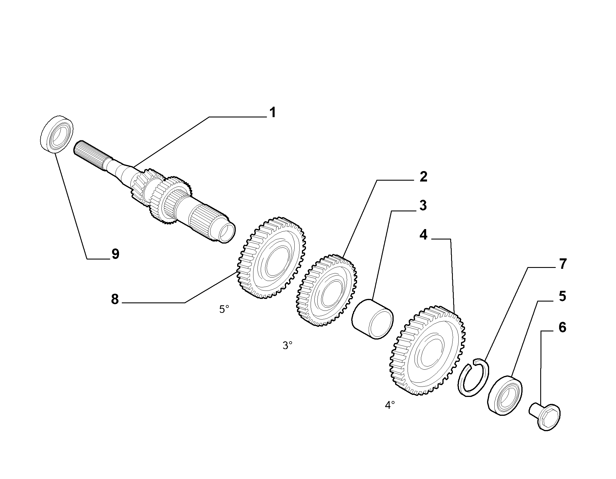 21215-010 PRIMARY SHAFT AND GEAR LEAD