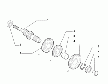 21215-010 PRIMARY SHAFT AND GEAR LEAD