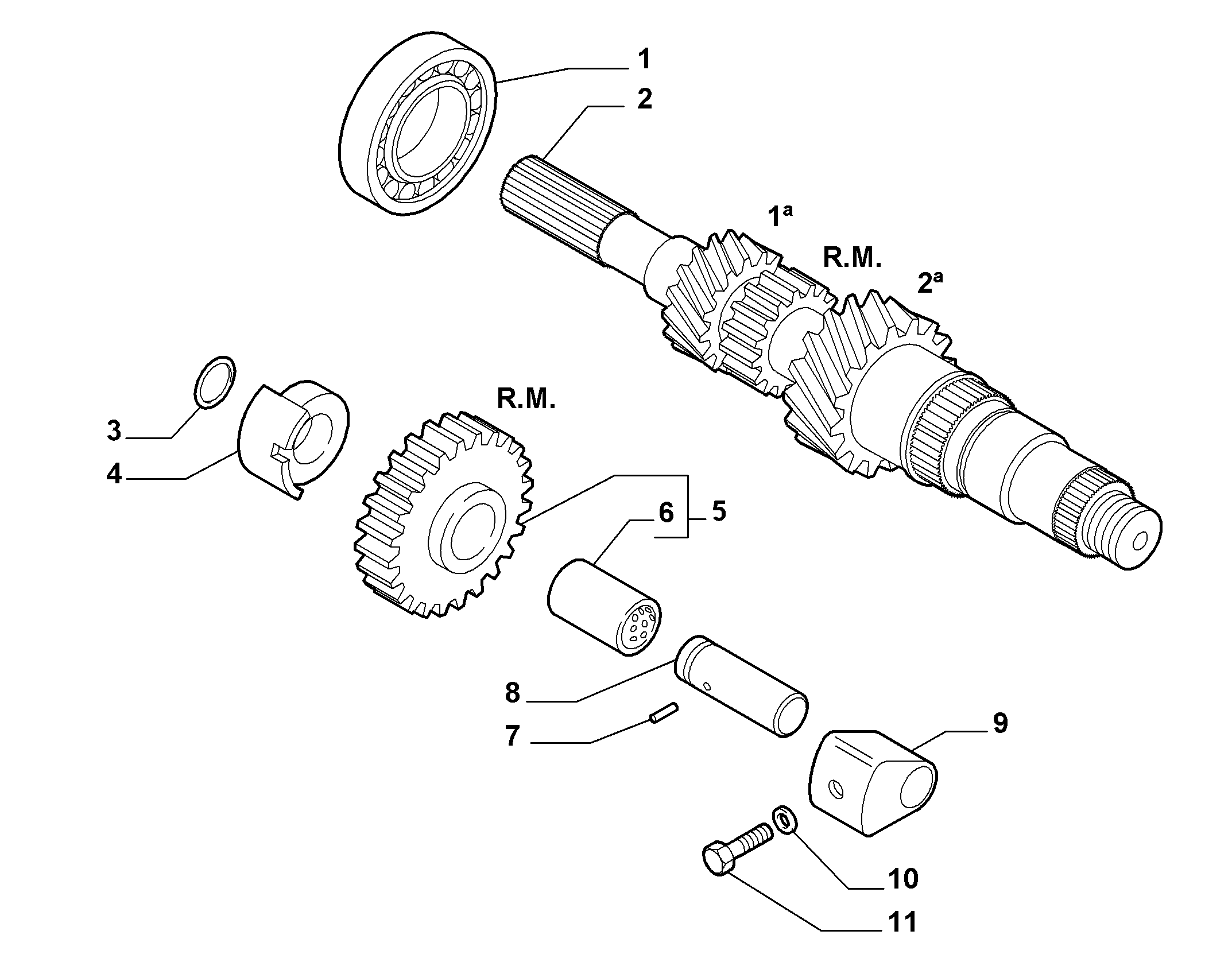 21215-010 PRIMARY SHAFT AND GEAR LEAD