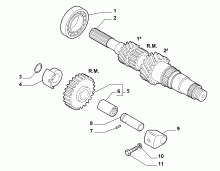 21215-010 PRIMARY SHAFT AND GEAR LEAD