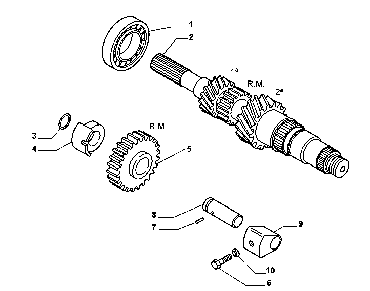 21215-010 PRIMARY SHAFT AND GEAR LEAD
