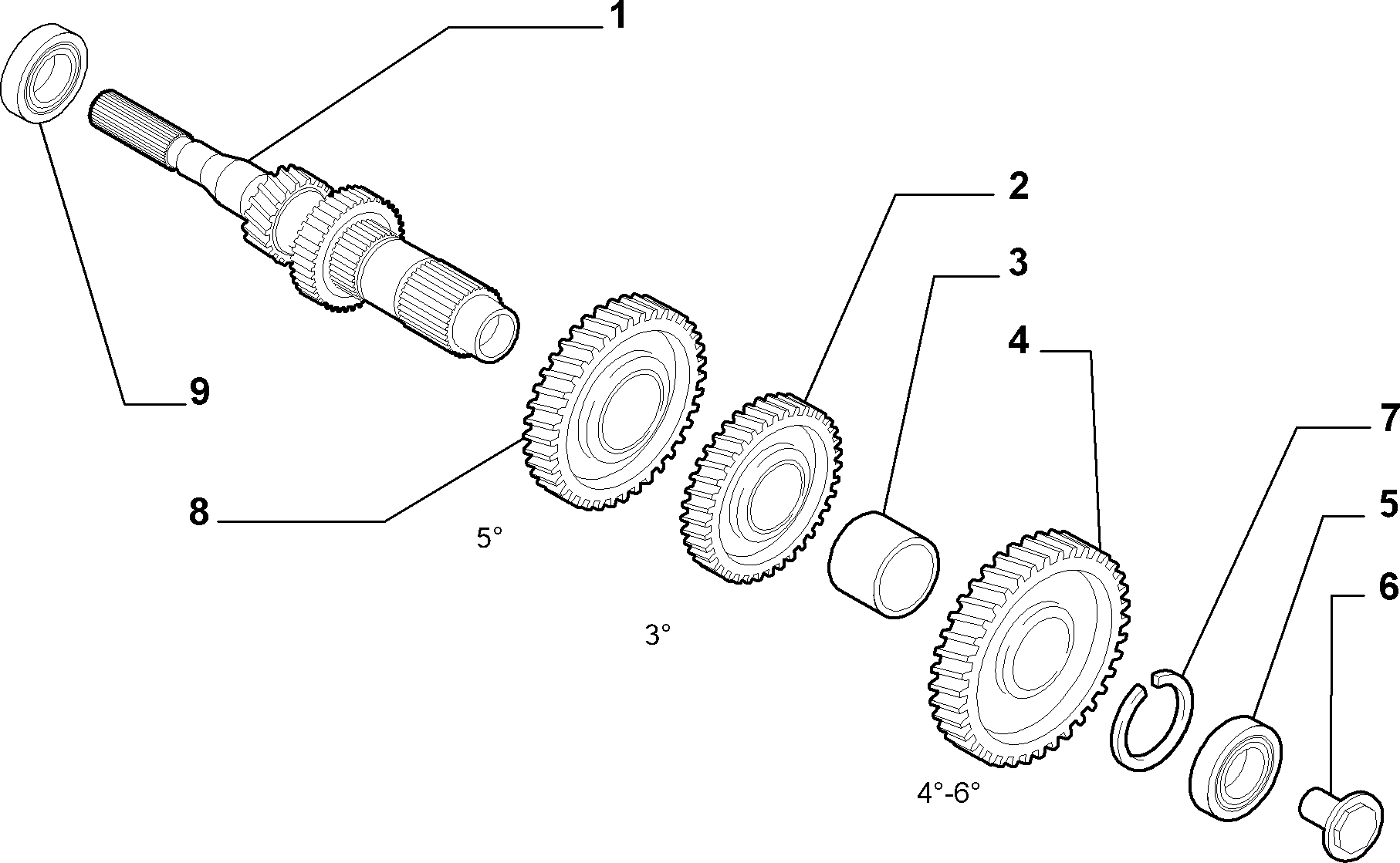 21215-010 PRIMARY SHAFT AND GEAR LEAD
