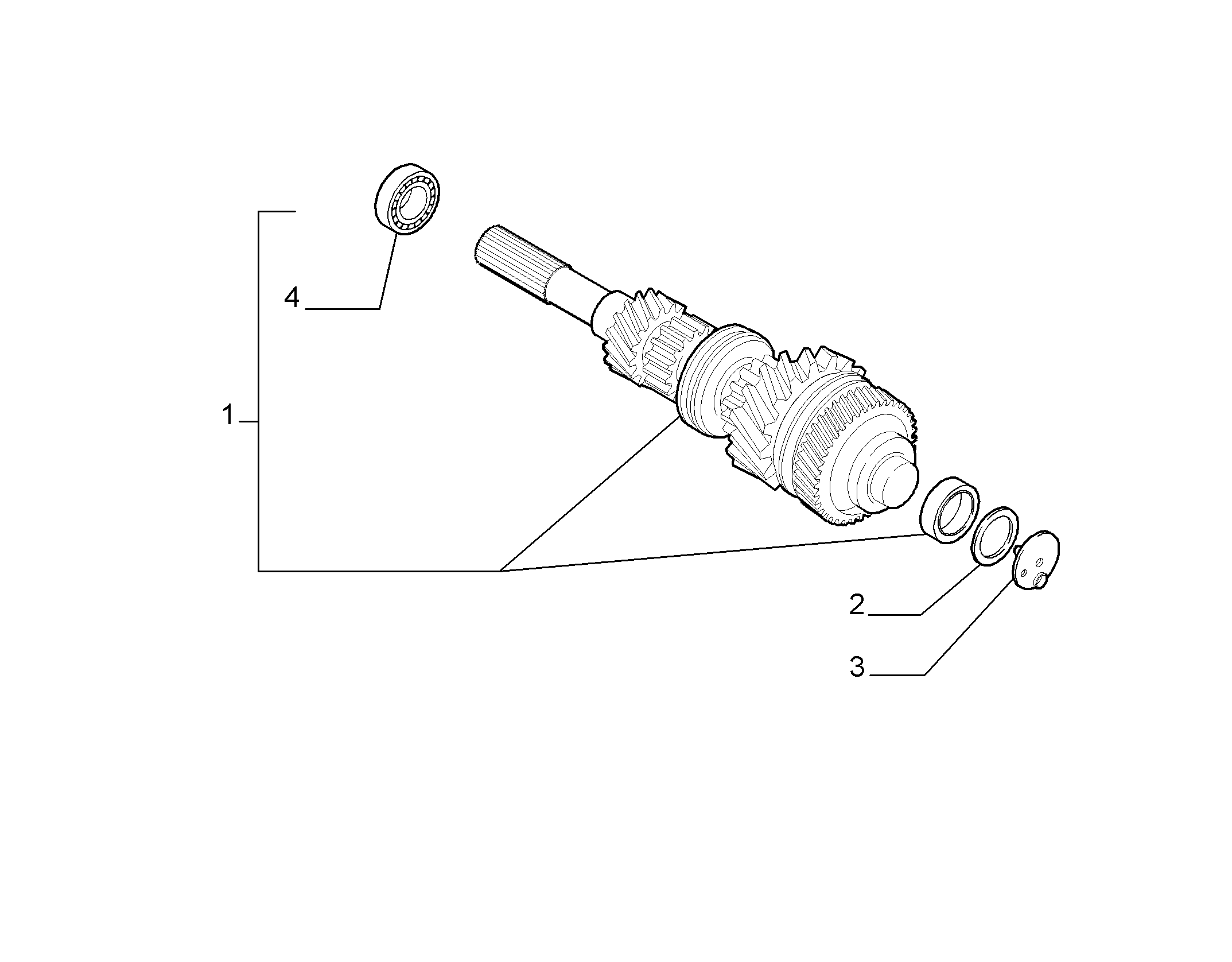 21215-010 PRIMARY SHAFT AND GEAR LEAD