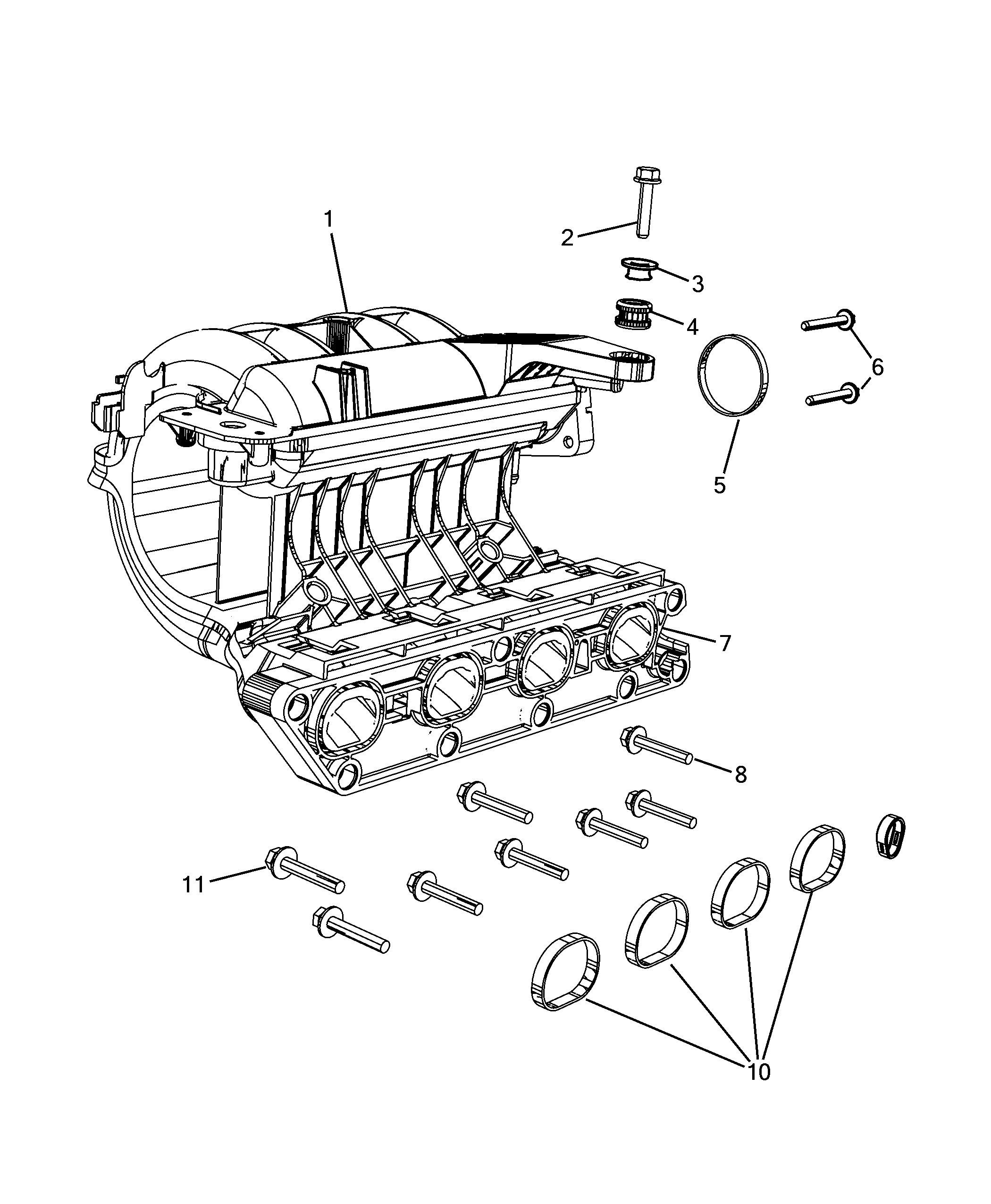 10255-010 INTAKE MANIFOLD AND BUTTERFLY CLIPS
